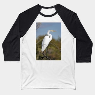 Great egret Baseball T-Shirt